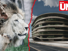 Arena Lima: Avalan megaproyecto en el Parque de las Leyendas