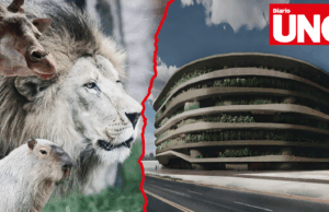 Arena Lima: Avalan megaproyecto en el Parque de las Leyendas