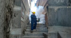 Papito de 71 años se bate a diario con el zancudo del dengue