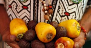 Fiesta de San Juan: Beneficios de los alimentos de la Selva Peruana