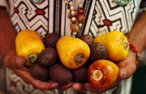 Fiesta de San Juan: Beneficios de los alimentos de la Selva Peruana