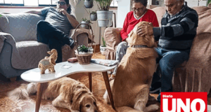 INEI incluirá a mascotas en encuesta nacional INEI incluirá a mascotas en encuesta nacional