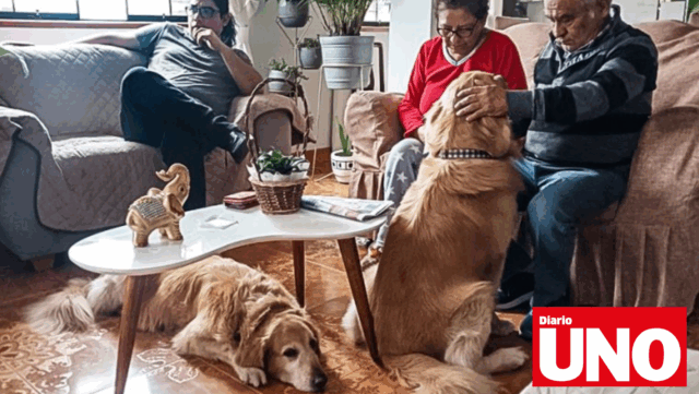 INEI incluirá a mascotas en encuesta nacional