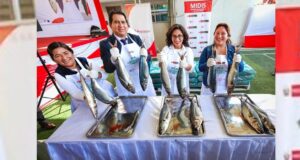 Midis: por primera vez, 120 emprendedoras ayacuchanas sacarán adelante sus negocios con la iniciativa “Mi Emprendimiento Mujer”