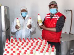 Los yachachiq trasladan conocimientos de tecnología productiva en Haku Wiñay