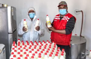 Los yachachiq trasladan conocimientos de tecnología productiva en Haku Wiñay