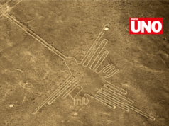 Ministerio de Cultura da marcha atrás y restablece protección total a las Líneas de Nasca