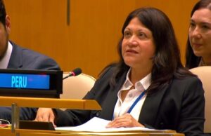 MIMP: Presidenta del Conadis expone ante la ONU las políticas públicas inclusivas sobre discapacidad en el Perú