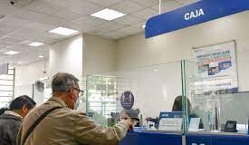 Adultos mayores cero predial