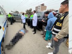 SMP: Fiscalía de Lima Norte investiga a falso pasajero que asesinó a chofer de una cúster