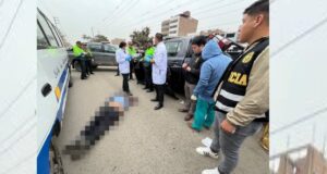 SMP: Fiscalía de Lima Norte investiga a falso pasajero que asesinó a chofer de una cúster