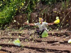 Madre de Dios: nuevo modelo de ecoturismo impulsa la protección de la biodiversidad en la Amazonía
