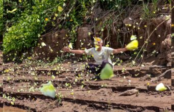 Madre de Dios: nuevo modelo de ecoturismo impulsa la protección de la biodiversidad en la Amazonía