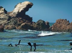 Perú lidera la protección de los océanos en la UNOC 2025