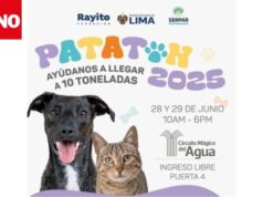 Patatón 2025 convoca a Lima para donar 10 toneladas de alimento a animales rescatados