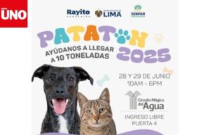 Patatón 2025 convoca a Lima para donar 10 toneladas de alimento a animales rescatados
