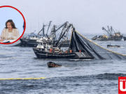 Produce defiende el Tratado de Alta Mar mientras la SNI advierte