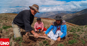 Estado peruano conmemora el Día del Campesino