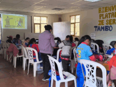 Midis: escolares aprenden técnicas de lectoescritura en Tambo Upina en Puno