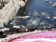 Contaminación sin sanción