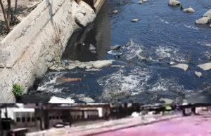 Contaminación sin sanción