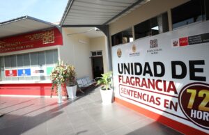 Poder Judicial condenó a 5 años de cárcel a ladrón detenido por flagrancia en la Corte del Santa