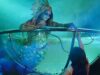 ‘Atlantika’: la magia del circo y la majestuosidad del agua
