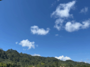 Puerto osito Ucumari: El mágico rincón de Villa Rica