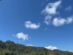 Puerto osito Ucumari: El mágico rincón de Villa Rica