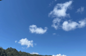 Puerto osito Ucumari: El mágico rincón de Villa Rica