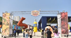 12 mil personas disfrutaron de gastronomía y música en el festival “POLLITO CON CHIFA”