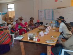 Midis: a más de 4100 metros, madres cusqueñas aprenden a proteger la salud de sus hijos con alimentos ricos en hierro