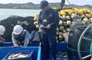 Tumbes: Fiscalía interviene embarcación pesquera con once personas y 4200 kilos de machete de hebra