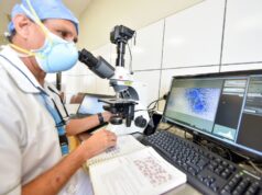 Minsa: 204 trasplantes de médula ósea se realizaron en el INSN San Borja a niños con cáncer de todo el país