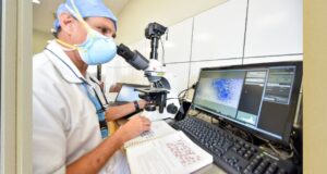 Minsa: 204 trasplantes de médula ósea se realizaron en el INSN San Borja a niños con cáncer de todo el país