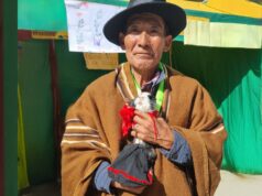 Pensión 65: cuy “Zorrito” y su dueño de 78 años ganan carrera en el II Festival Misky Haka en Pasco