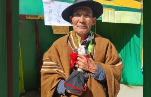 Pensión 65: cuy “Zorrito” y su dueño de 78 años ganan carrera en el II Festival Misky Haka en Pasco
