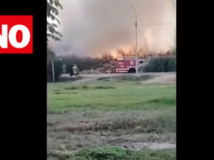 Incendio forestal en Base Naval del Callao genera gran columna de humo visible desde varios puntos de la ciudad