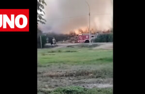 Incendio forestal en Base Naval del Callao genera gran columna de humo visible desde varios puntos de la ciudad