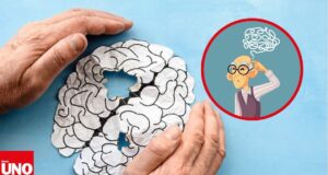 Demencia senil afecta a 57 millones de personas en el mundo