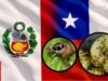 Chile acusa a Perú de infectar sus cultivos con mosca de la fruta