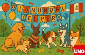 Día Mundial del Perro llama a protegerlos en todo momento
