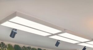 Granos andinos y amazónicos para un cabello fuerte y saludable