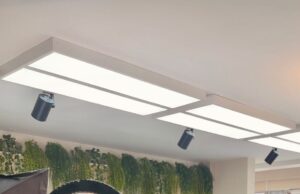 Granos andinos y amazónicos para un cabello fuerte y saludable