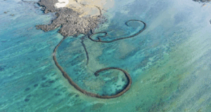 Tres parques nacionales certificados como destinos verdes