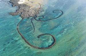 Tres parques nacionales certificados como destinos verdes