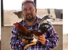 Inicia juicio contra empresario acusado de violar a joven abogada en su fundo de Virú