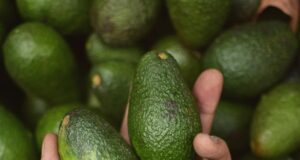 Día Internacional de la Palta: Comerla a diario es un regalo para tu salud