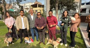 San Luis: gran jornada de registro municipal de canes y felinos