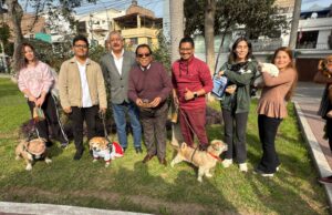 San Luis: gran jornada de registro municipal de canes y felinos